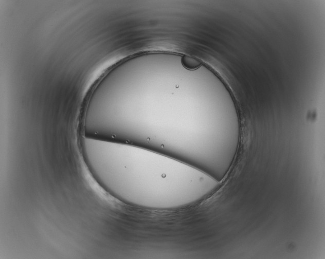 X0000111211139200907011437