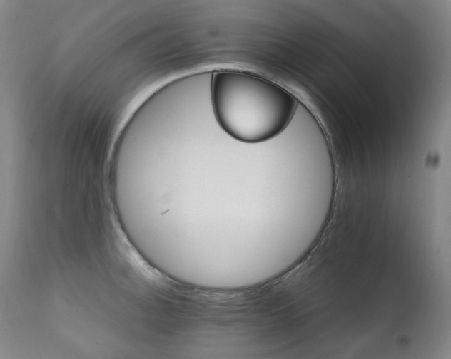 X0000111211140200907011437