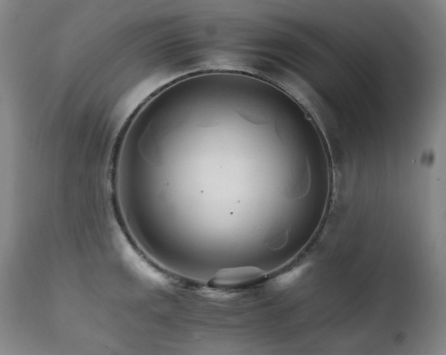 X0000111211141200907011437