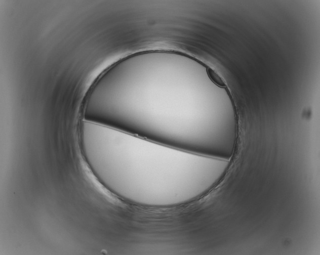 X0000111211142200907011437