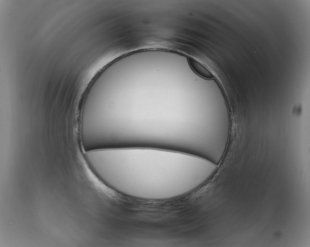 X0000111211143200907011437