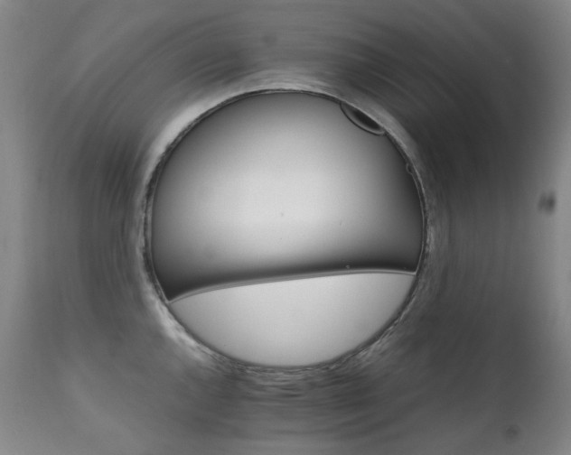 X0000111211144200907011437