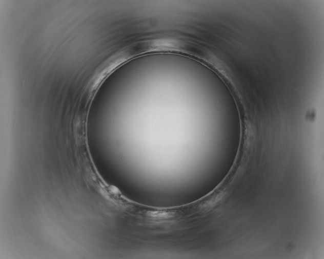 X0000111211145200907011437