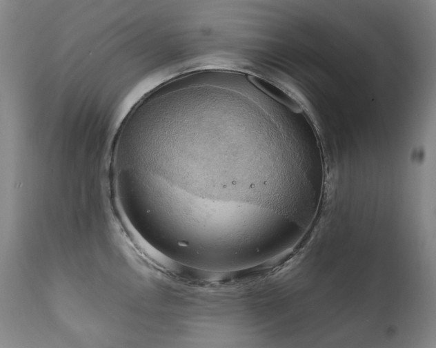 X0000111211146200907011437