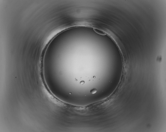 X0000111211147200907011437