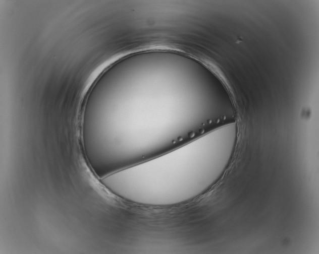 X0000111211148200907011437