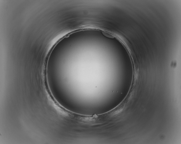 X0000111211149200907011437