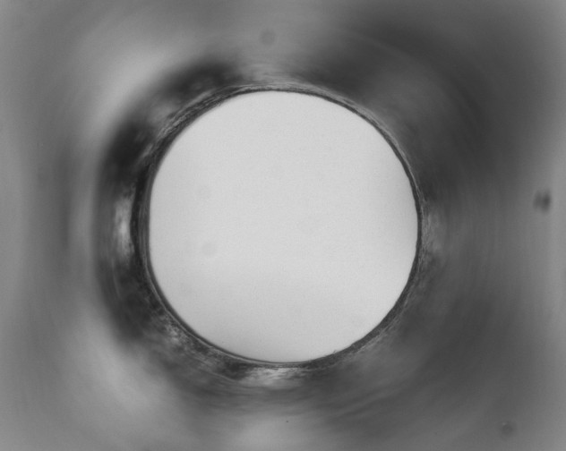 X0000111211150200907011437