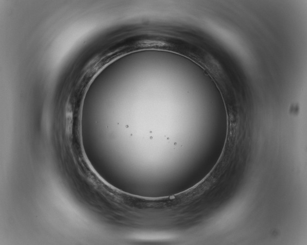 X0000111211151200907011437