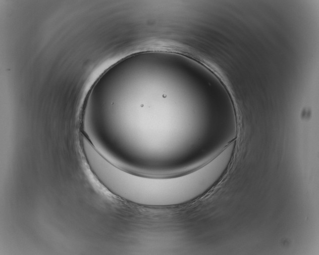 X0000111211152200907011437