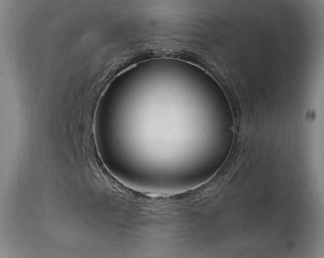 X0000111211153200907011437