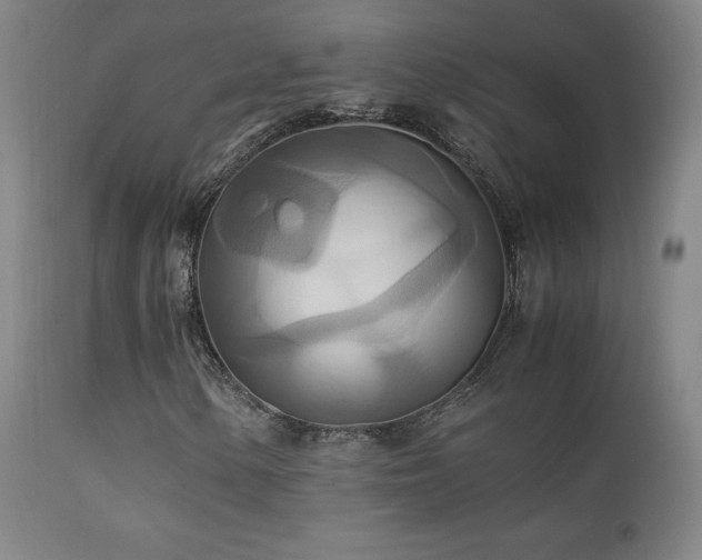 X0000111211154200907011437