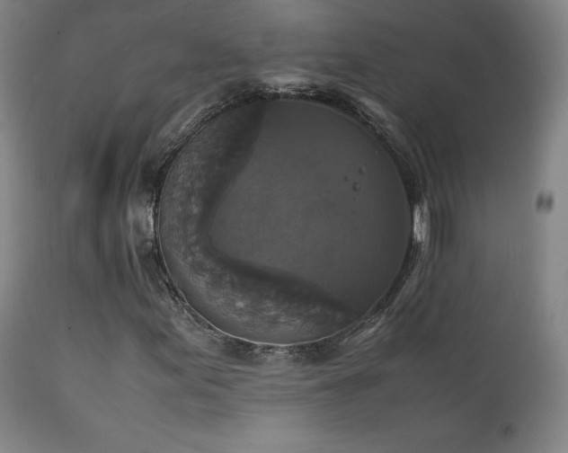 X0000111211155200907011436