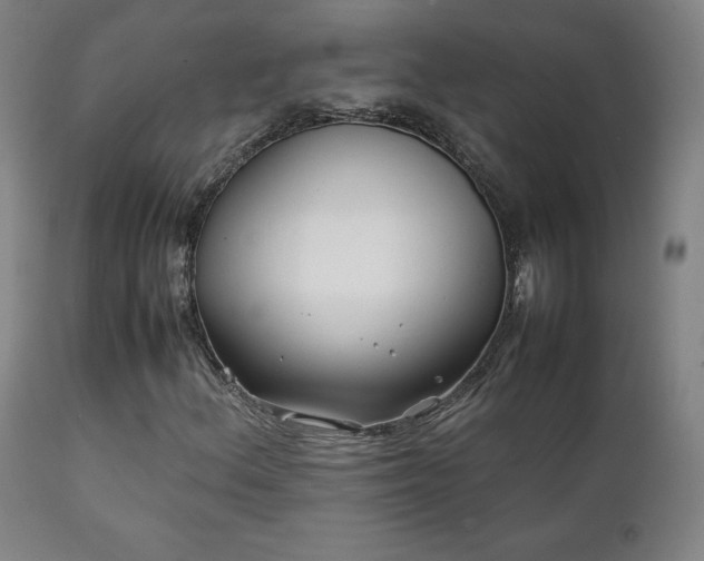 X0000111211156200907011436