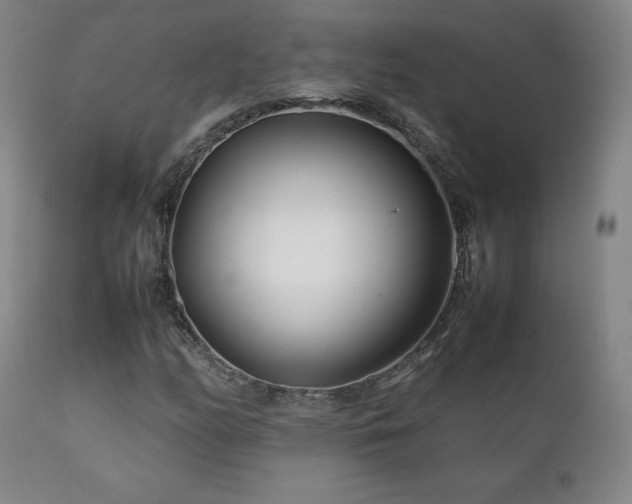 X0000111211158200907011436