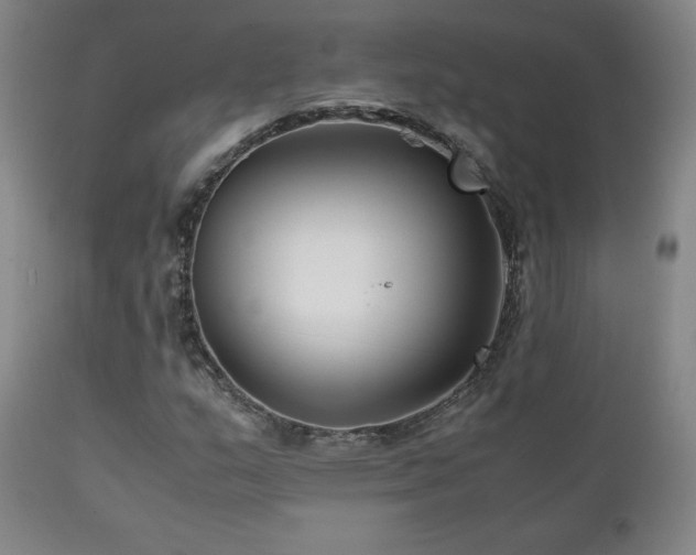 X0000111211159200907011436