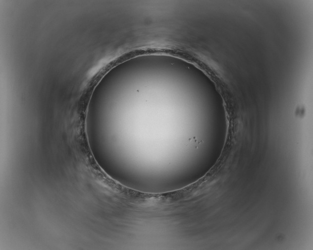 X0000111211160200907011436