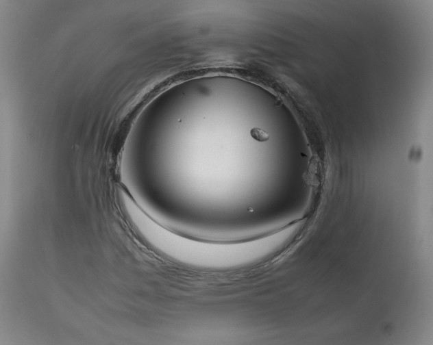 X0000111211161200907011436