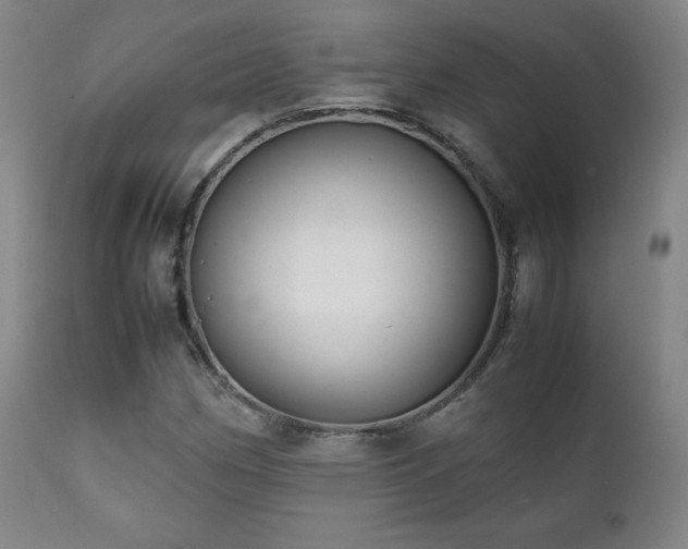 X0000111211162200907011436