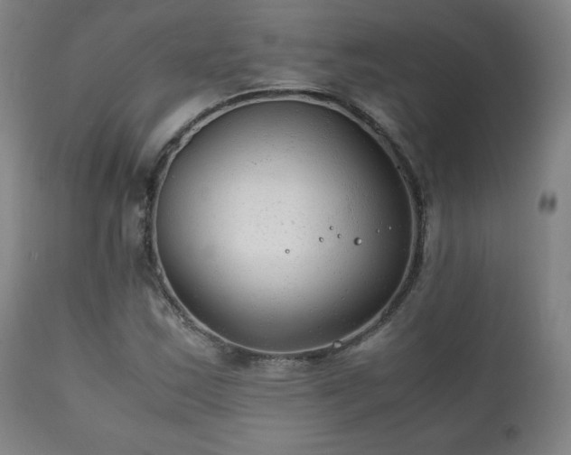 X0000111211163200907011436