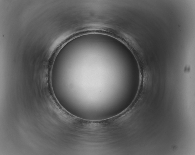 X0000111211164200907011436