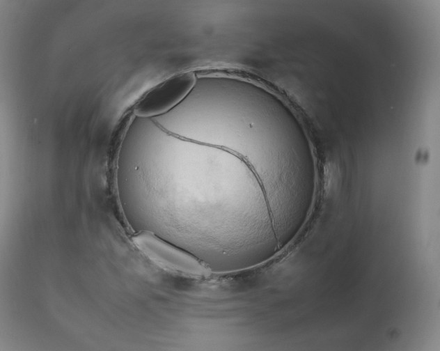 X0000111211165200907011436