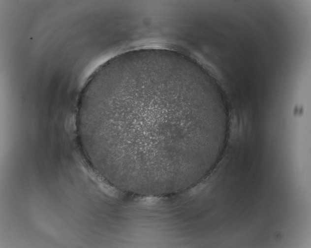 X0000111211166200907011436