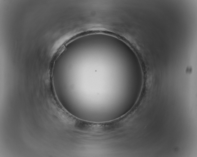 X0000111211167200907011436