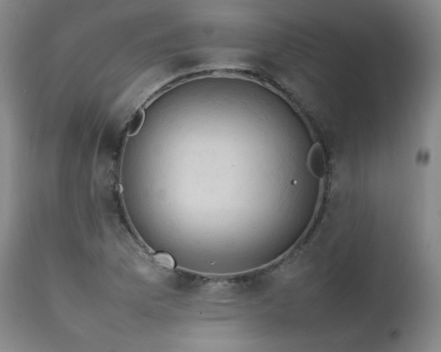 X0000111211169200907011436