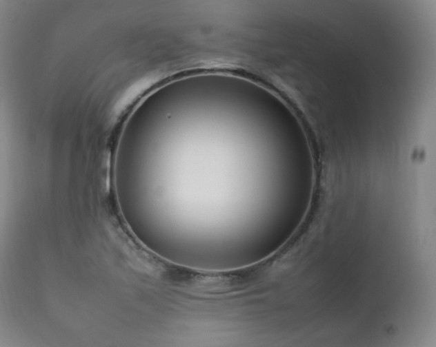 X0000111211171200907011436