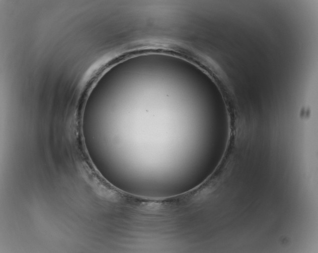 X0000111211172200907011436