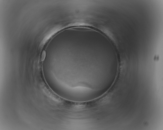 X0000111211173200907011436