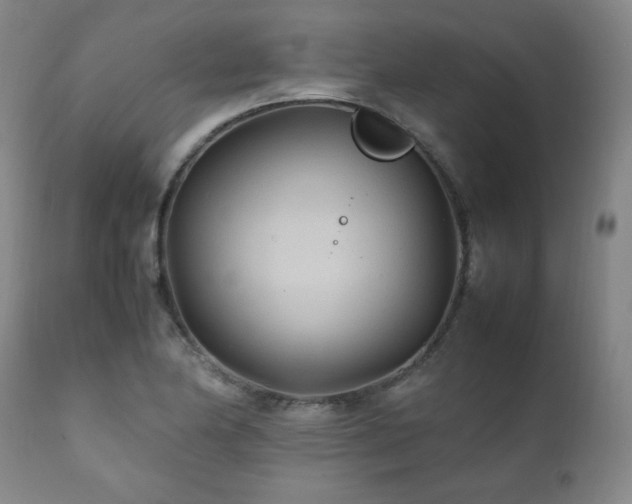 X0000111211174200907011436