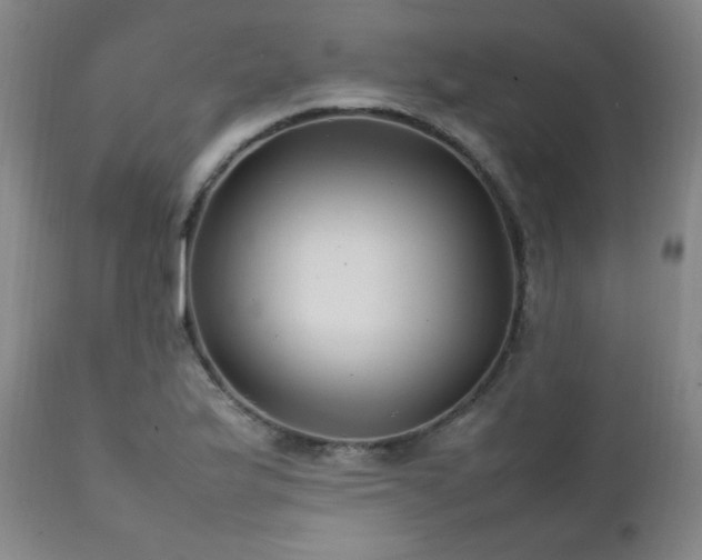 X0000111211175200907011436