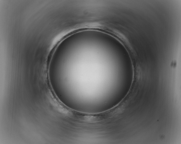 X0000111211176200907011436