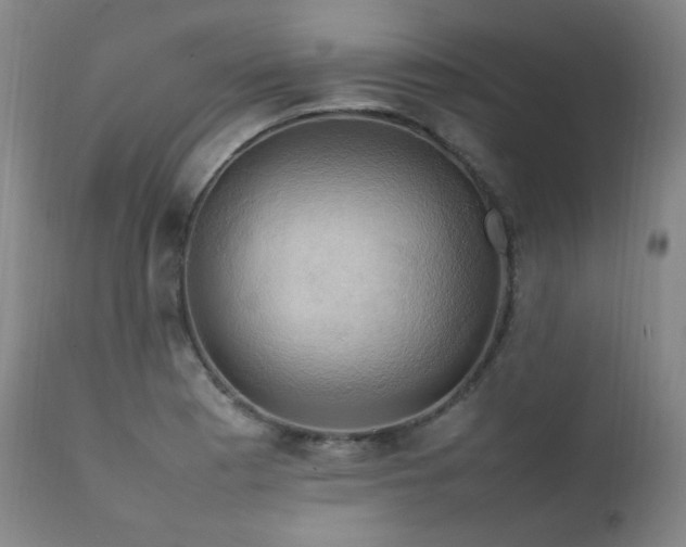 X0000111211177200907011436