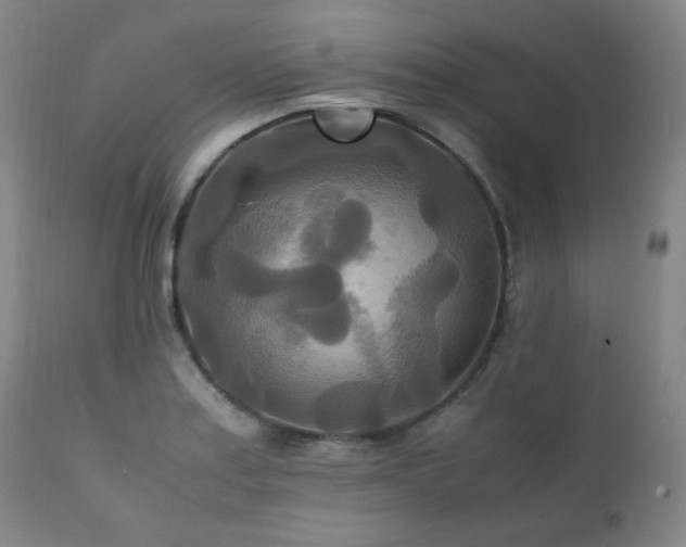 X0000111211179200907011436