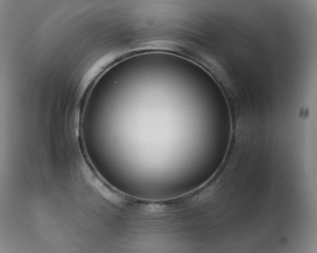 X0000111211180200907011436