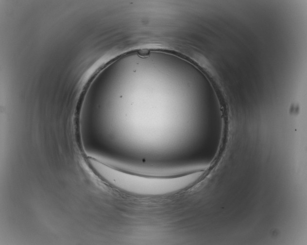 X0000111211181200907011436