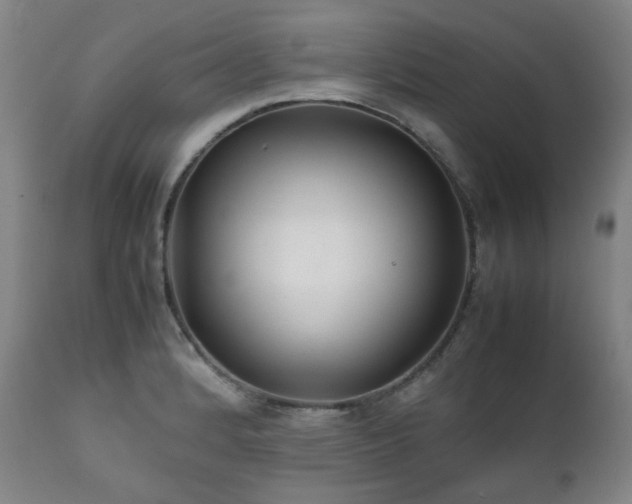 X0000111211184200907011436