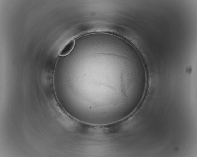 X0000111211185200907011436