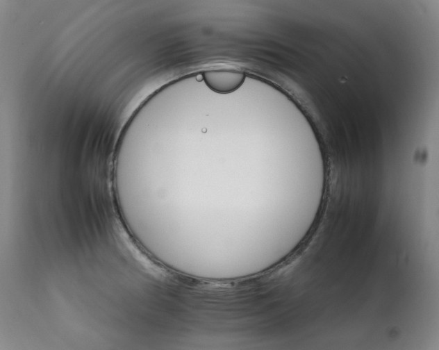 X0000111211186200907011436