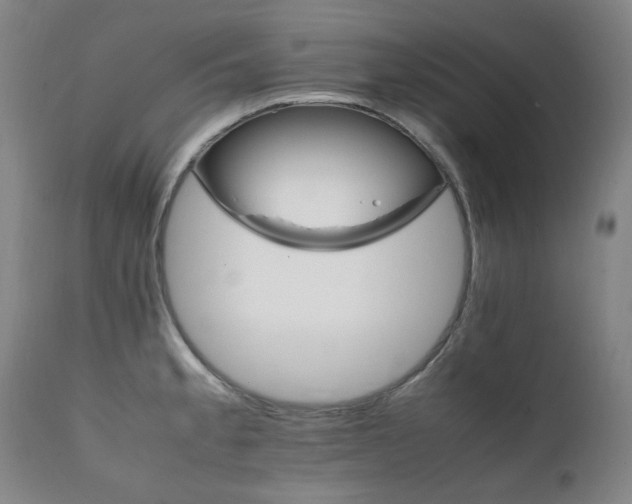 X0000111211189200907011436