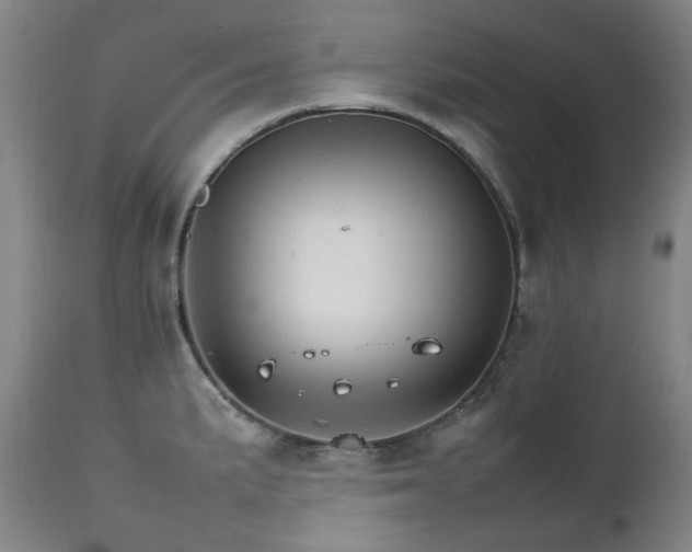 X0000111211191200907011436