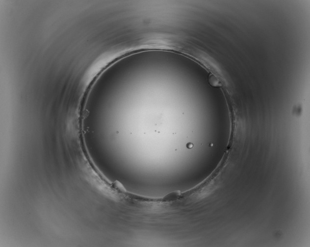 X0000111211192200907011436