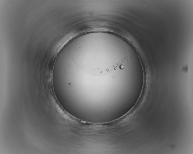 X0000111211193200907011436