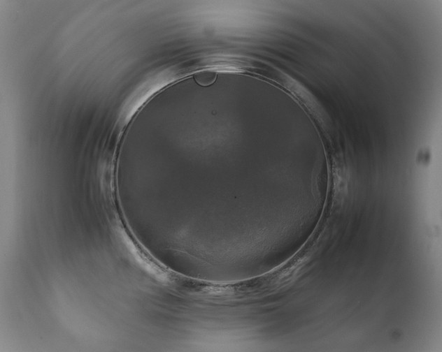 X0000111211194200907011436