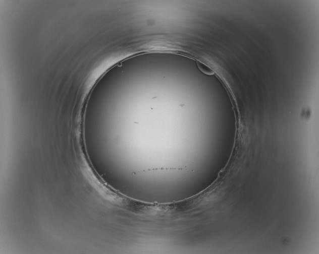 X0000111211195200907011436