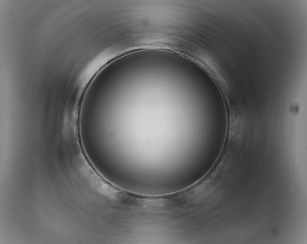 X0000111211196200907011436