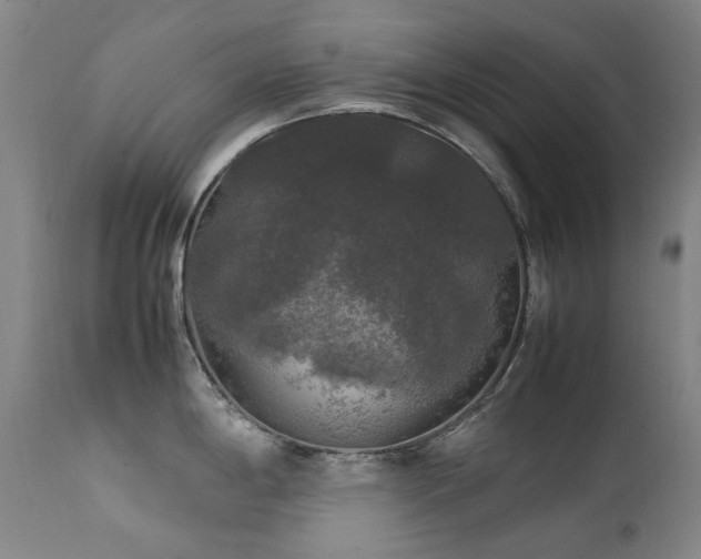 X0000111211198200907011436